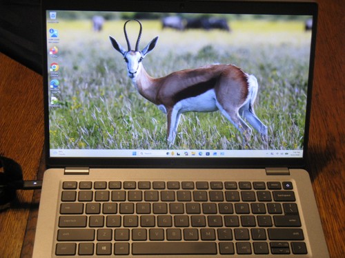 Dell latitude 5420 - dell, i5-1145g7